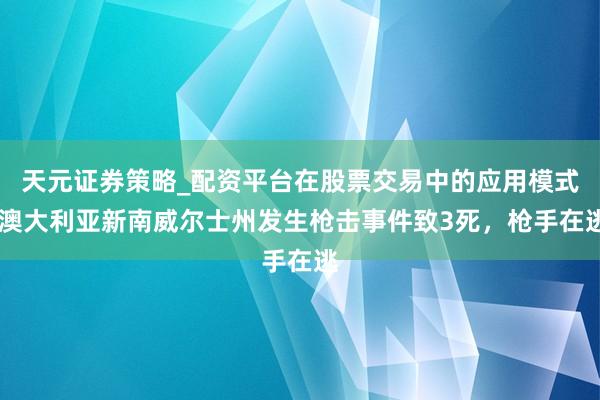 天元证券策略_配资平台在股票交易中的应用模式 澳大利亚新南威尔士州发生枪击事件致3死，枪手在逃