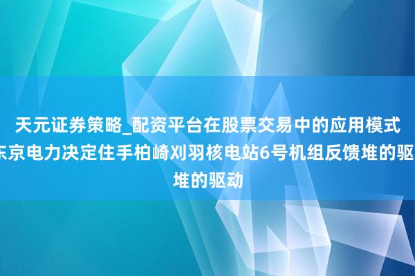 天元证券策略_配资平台在股票交易中的应用模式 东京电力决定住手柏崎刈羽核电站6号机组反馈堆的驱动