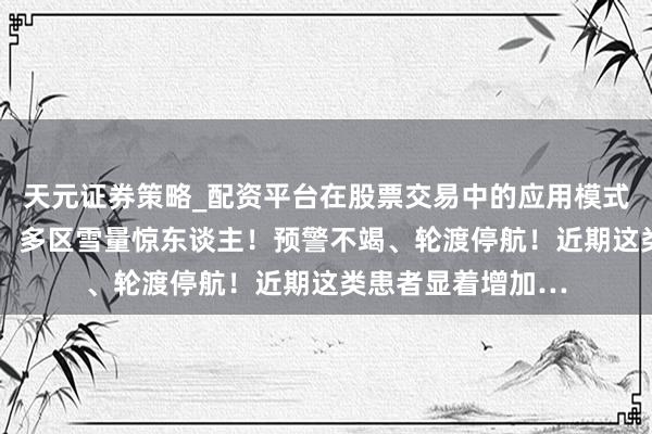 天元证券策略_配资平台在股票交易中的应用模式 上海负责下雪啦，多区雪量惊东谈主！预警不竭、轮渡停航！近期这类患者显着增加…