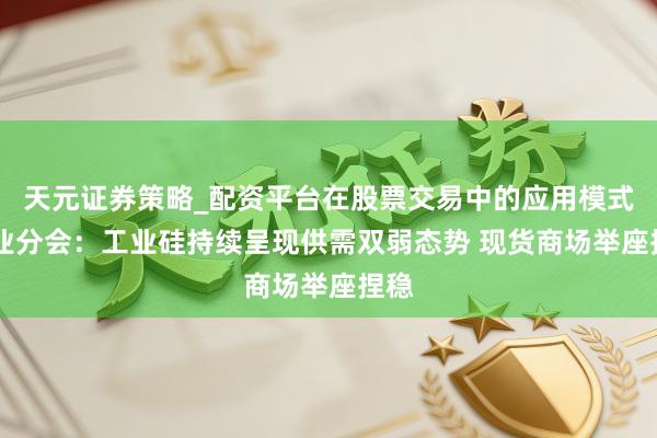 天元证券策略_配资平台在股票交易中的应用模式 硅业分会：工业硅持续呈现供需双弱态势 现货商场举座捏稳