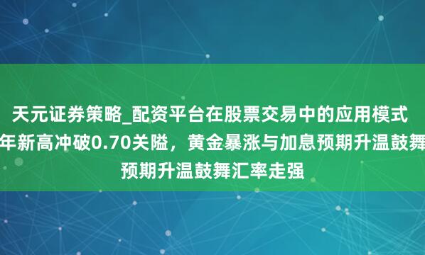天元证券策略_配资平台在股票交易中的应用模式 澳元创三年新高冲破0.70关隘，黄金暴涨与加息预期升温鼓舞汇率走强